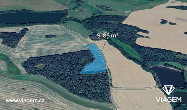 Prodej pole 7 143 m², Chanovice, okres Klatovy