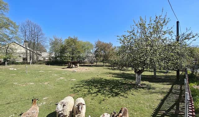 Prodej stavebního pozemku 4 421 m², Bartošovice, okres Nový Jičín