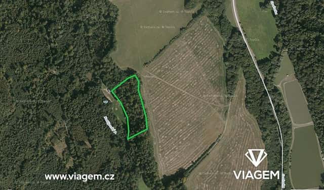Prodej lesa 1 868 m², Fulnek, okres Nový Jičín