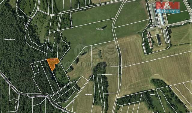 Prodej lesa 1 374 m², Borotín, okres Blansko