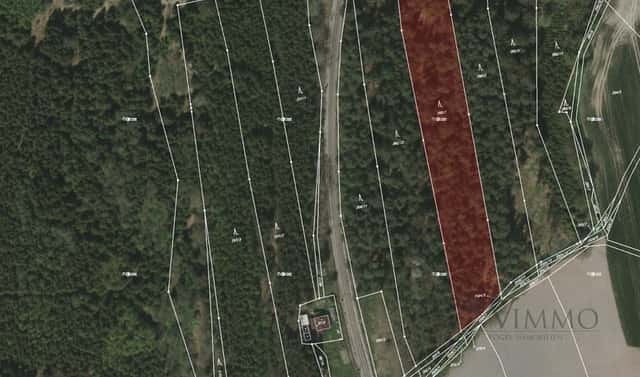 Prodej lesa 12 320 m², Borovany – Trocnov, okres České Budějovice