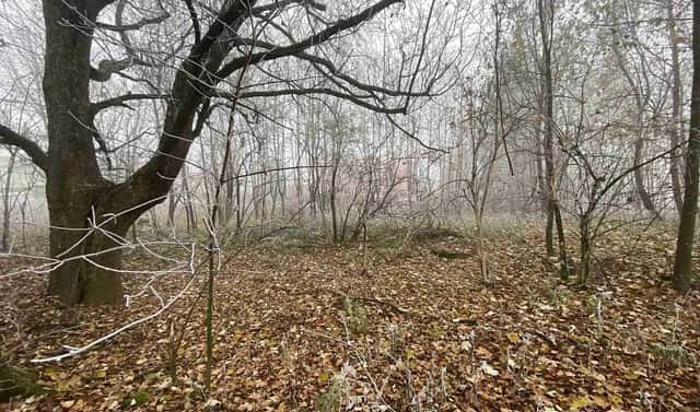 Prodej stavebního pozemku 2 192 m², Frýdlant – Albrechtice u Frýdlantu, okres Liberec