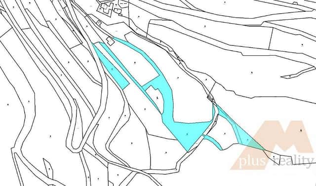 Prodej louky 14 054 m², Stráž nad Ohří – Srní, okres Karlovy Vary