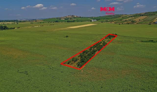 Prodej pole 14 490 m², Zaječí, okres Břeclav