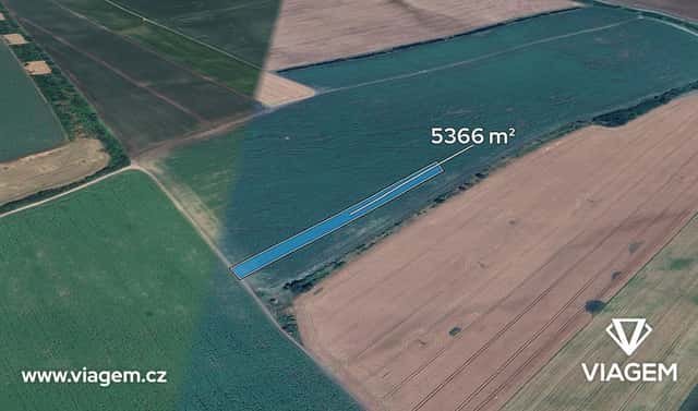 Prodej pole 5 366 m², Louka, okres Hodonín