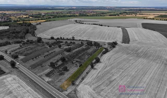Prodej zahrady 1 293 m², Vlkoš, okres Hodonín