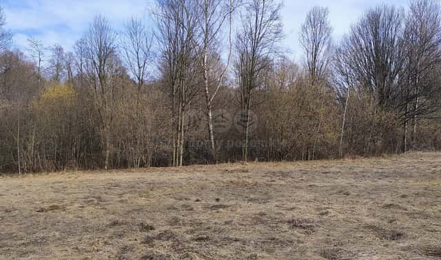 Prodej stavebního pozemku 1 920 m², Dolní Moravice, okres Bruntál