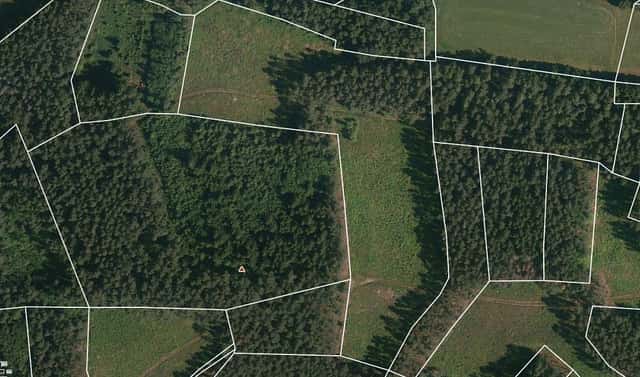 Prodej lesa 24 705 m², Přechovice, okres Strakonice