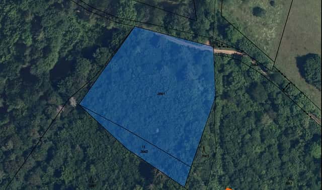 Prodej pozemku 5 374 m², Bušín, okres Šumperk