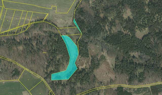 Prodej pole 11 777 m², Předotice – Křešice, okres Písek