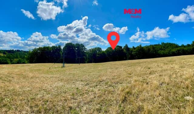 Prodej lesa 5 050 m², Hranice – Hranice IX-Uhřínov, okres Přerov