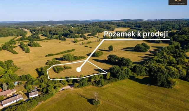 Prodej stavebního pozemku 10 784 m², Mirotice – Bořice, okres Písek