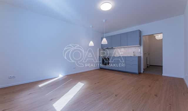 Pronájem bytu 1+kk 34 m², Viklefova, Praha 3 – Žižkov