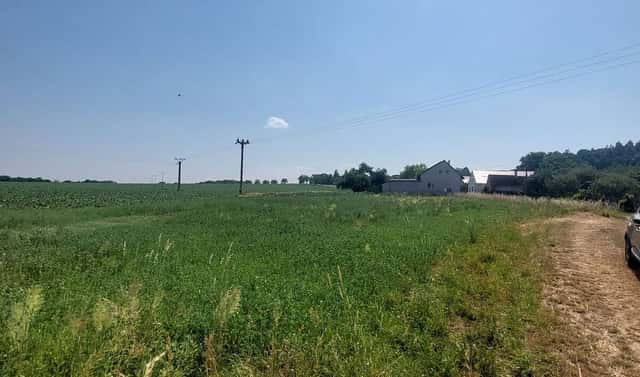 Prodej pole 32 279 m², Pavlov, okres Šumperk