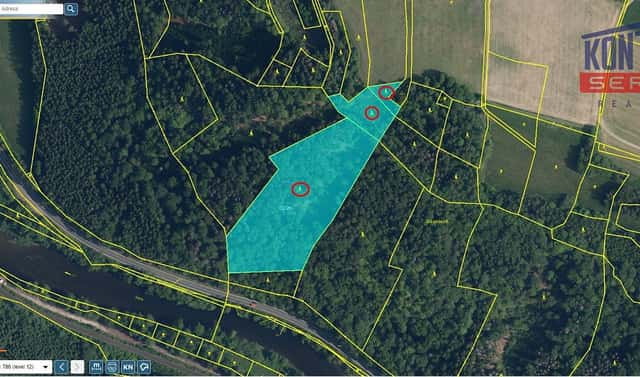 Prodej lesa 23 153 m², Železný Brod – Bzí, okres Jablonec nad Nisou