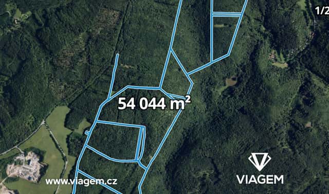 Prodej lesa 6 186 m², Brno, okres Brno-město