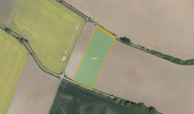 Prodej pole 36 215 m², Dolní Roveň, okres Pardubice