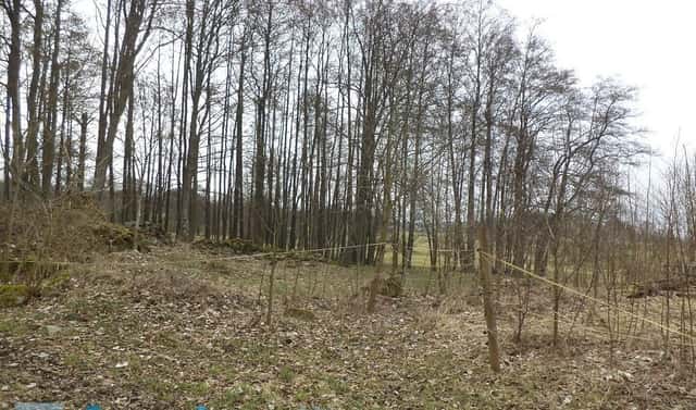 Prodej stavebního pozemku 1 221 m², Dolní Nivy, okres Sokolov