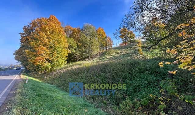 Prodej stavebního pozemku 1 245 m², Chotěvice, okres Trutnov