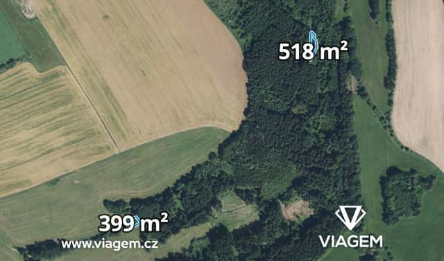 Prodej lesa 917 m², Příkrý, okres Semily