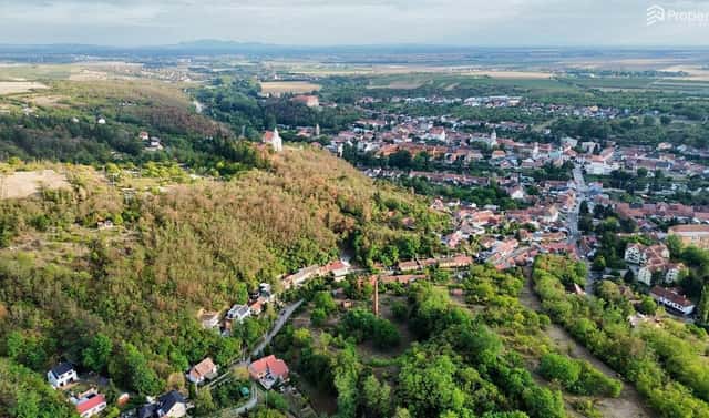 Prodej zahrady 985 m², Dolní Kounice, okres Brno-venkov