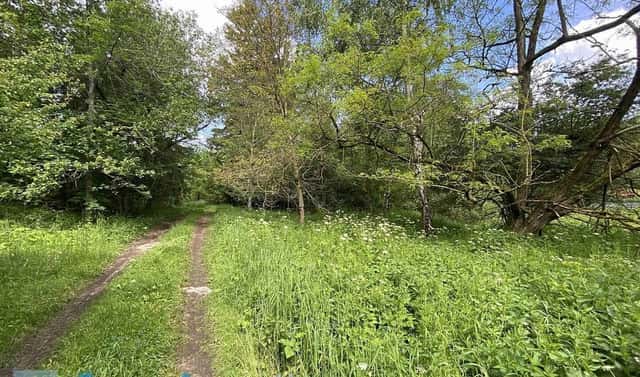 Prodej stavebního pozemku 2 584 m², Slavonice, okres Jindřichův Hradec