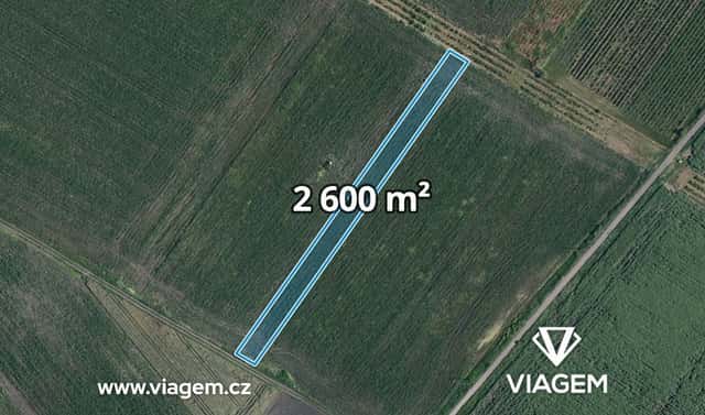 Prodej pole 2 600 m², Velké Bílovice, okres Břeclav