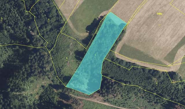 Prodej lesa 9 474 m², Zábřeh – Václavov, okres Šumperk