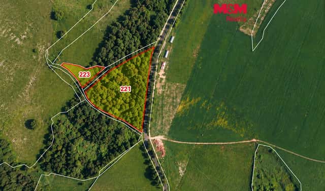 Prodej pozemku 17 561 m², Stará Voda – Vysoká, okres Cheb