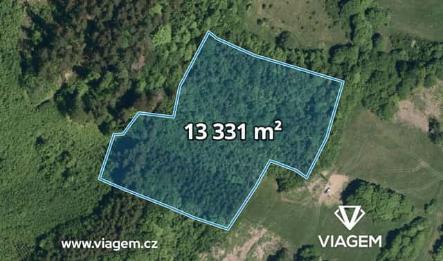 Prodej lesa 13 331 m², Vsetín