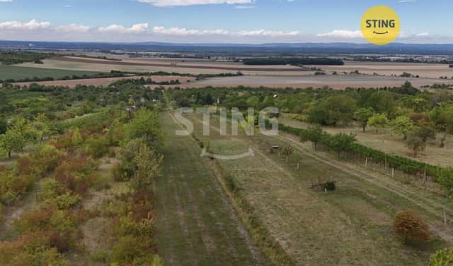 Prodej chaty/chalupy 30 m² s pozemkem 4 483 m², Strážnice, okres Hodonín