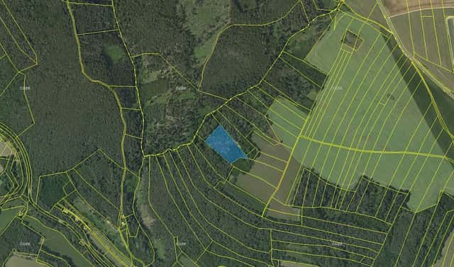 Prodej lesa 7 691 m², Horní Loučky, okres Brno-venkov