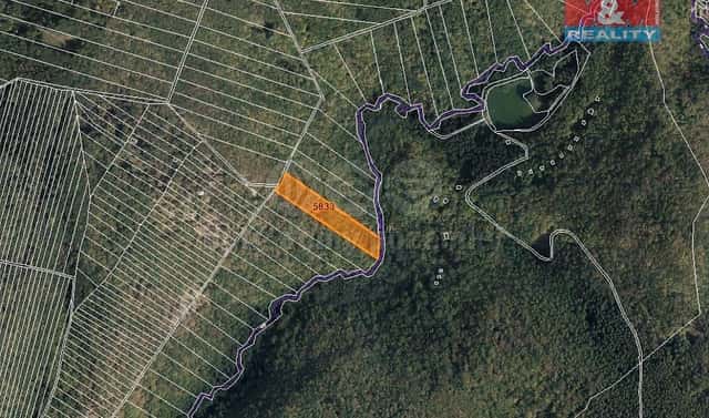 Prodej lesa 7 566 m², Brno – Líšeň, okres Brno-město