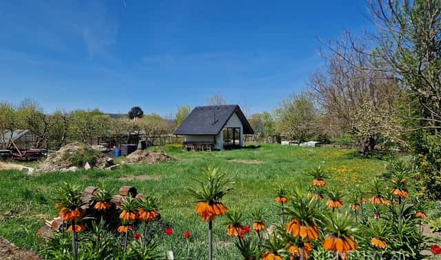 Prodej stavebního pozemku 784 m², Čebín, okres Brno-venkov
