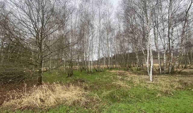 Prodej pozemku 10 244 m², Hosín – Dobřejovice, okres České Budějovice