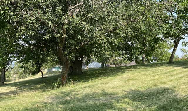 Prodej stavebního pozemku 3 359 m², Petrovice, okres Rakovník