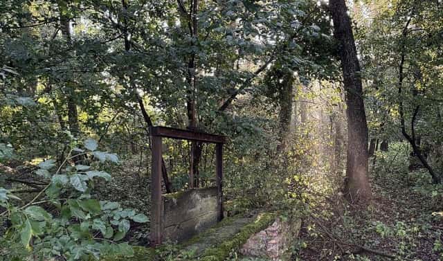 Prodej pozemku 2 784 m², Vršovka – Dobříč, okres Náchod