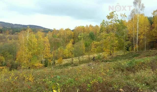 Prodej pozemku 625 m², Líšný, okres Jablonec nad Nisou