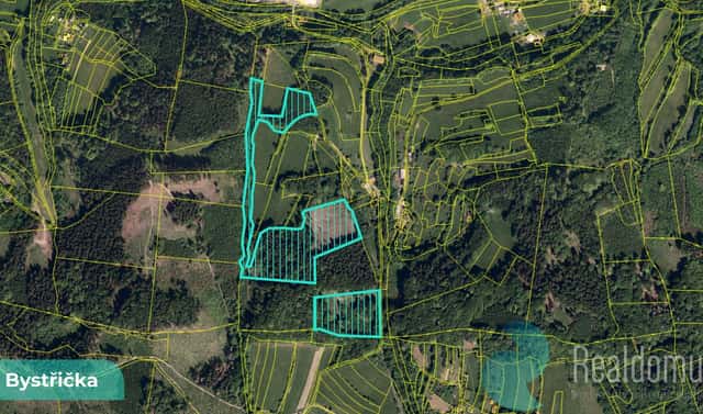 Prodej lesa 16 784 m², Bystřička, okres Vsetín