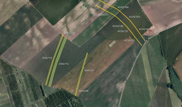 Prodej pole 31 209 m², Čejkovice, okres Hodonín