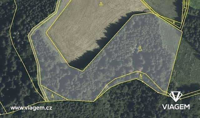 Prodej lesa 2 355 m², Cotkytle, okres Ústí nad Orlicí