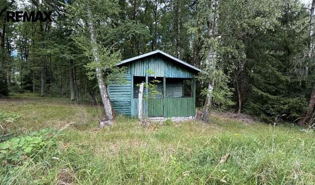 Prodej chaty/chalupy 36 m² s pozemkem 293 m², Nebílovy, okres Plzeň-jih