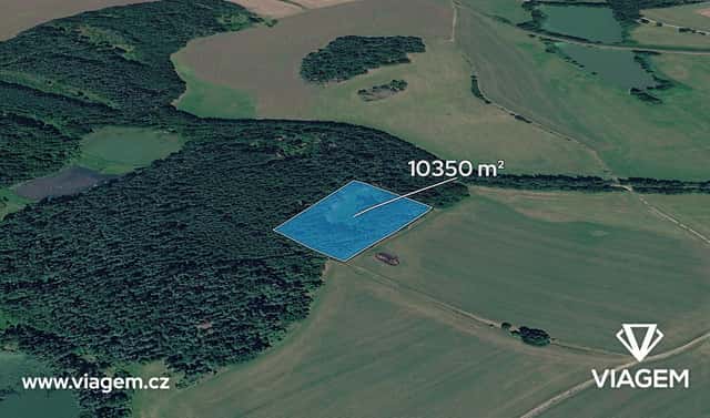 Prodej lesa 1 725 m², Kardašova Řečice, okres Jindřichův Hradec