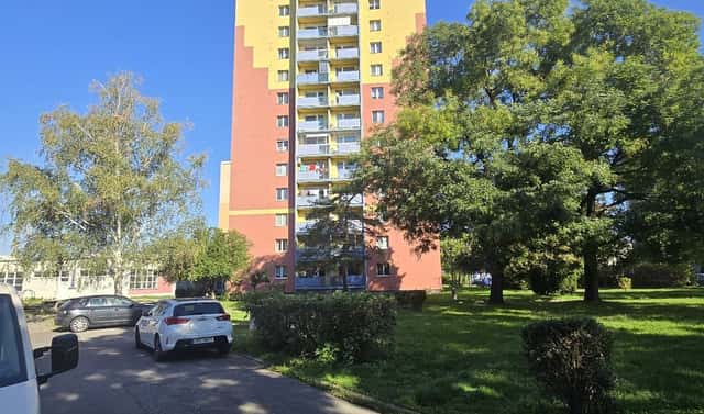 Prodej bytu 2+1 47 m², Velká Dlážka, Přerov – Přerov I-Město