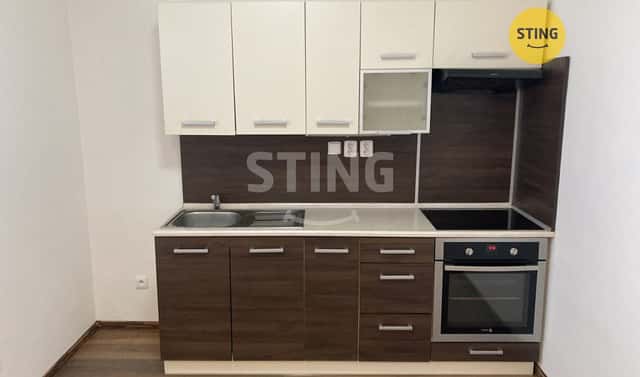 Pronájem bytu 1+kk 25 m², Hviezdoslavova, Opava – Předměstí