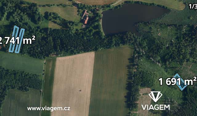 Prodej lesa 12 665 m², Radkovice u Budče, okres Třebíč