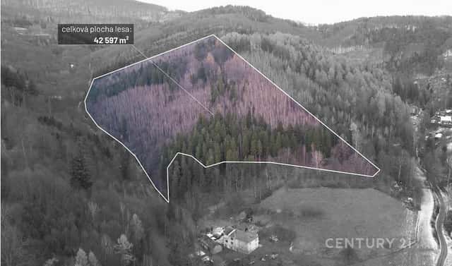 Prodej lesa 42 597 m², Nýdek, okres Frýdek-Místek