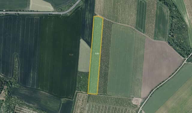 Prodej pole 20 864 m², Želkovice, okres Louny