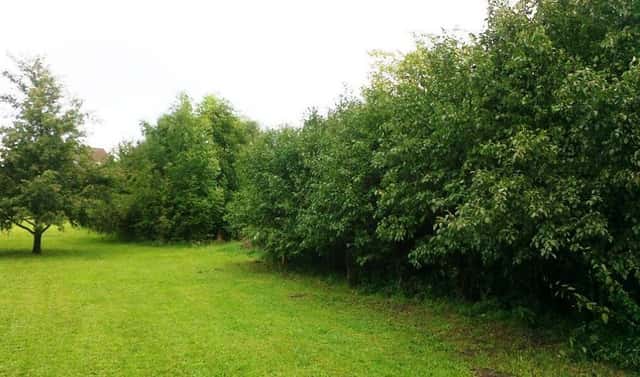 Prodej zemědělského objektu 20 000 m², Labuty, okres Hodonín