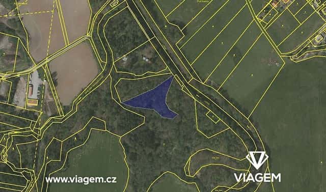 Prodej lesa 4 248 m², Dvory nad Lužnicí, okres Jindřichův Hradec